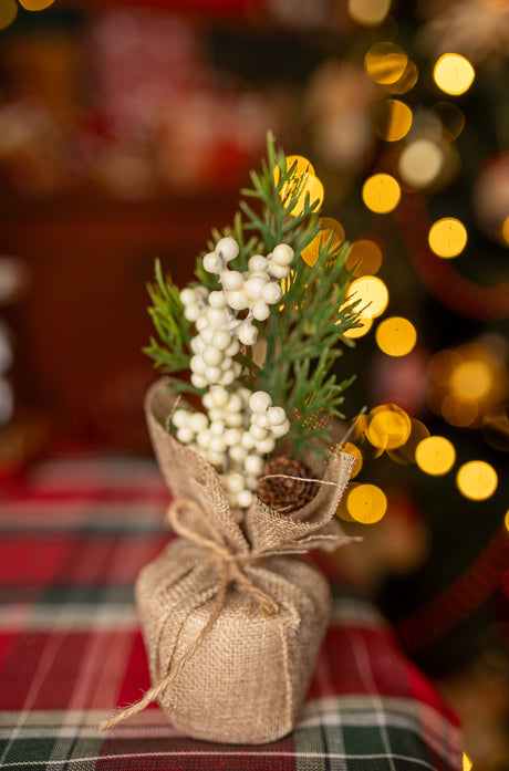 Set mit 6 Weihnachtsdekorationen