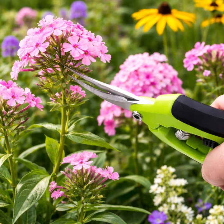 Gartenschere für Pflanzen