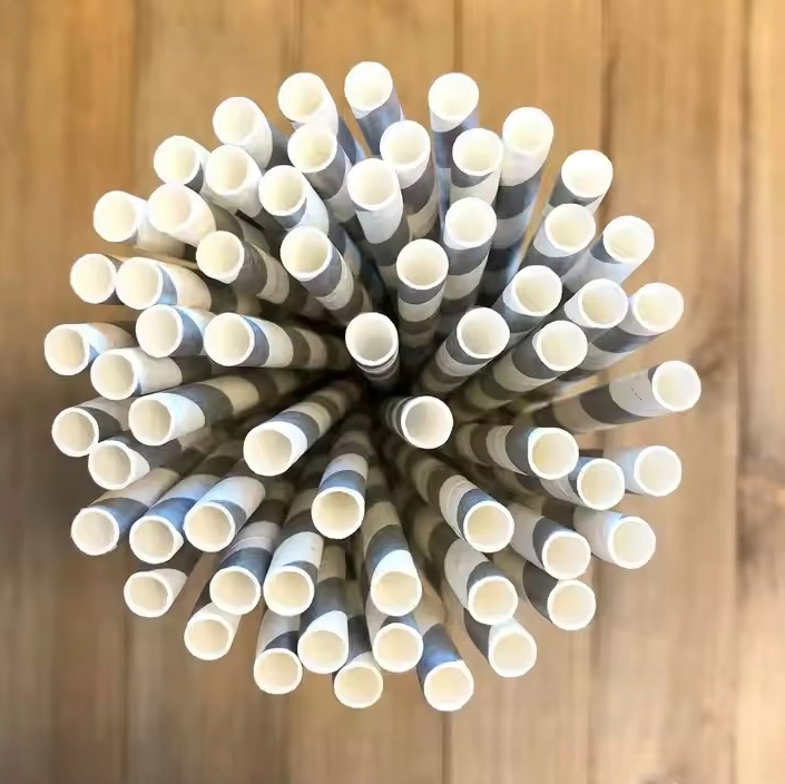 Papierstrohhalme Glänzend Silber 250 Stück