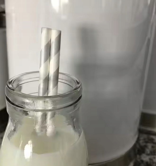 Papierstrohhalme Glänzend Silber 250 Stück