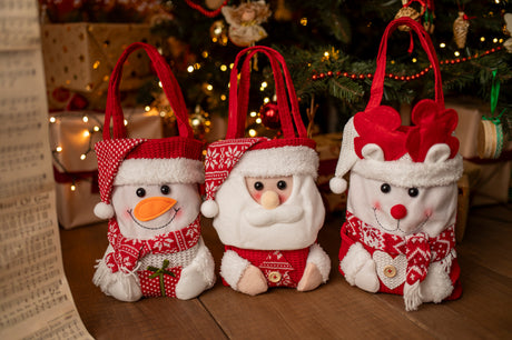 Geschenktüte 220 x 300 mm