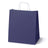 Papiertüte mit gedrehtem Griff 300x170x340mm Marineblau Weiß