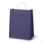 Papiertüte mit gedrehtem Griff 305x170x425mm Marineblau Weiß