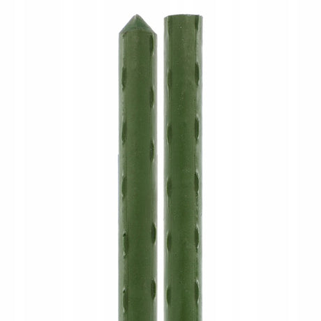 Pflanzstäbe Gartenstäbe 10 Stk. 150 cm