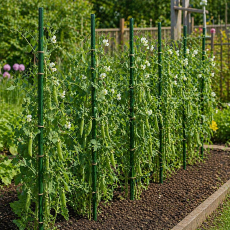 Pflanzstäbe Gartenstäbe 10 Stk. 150 cm
