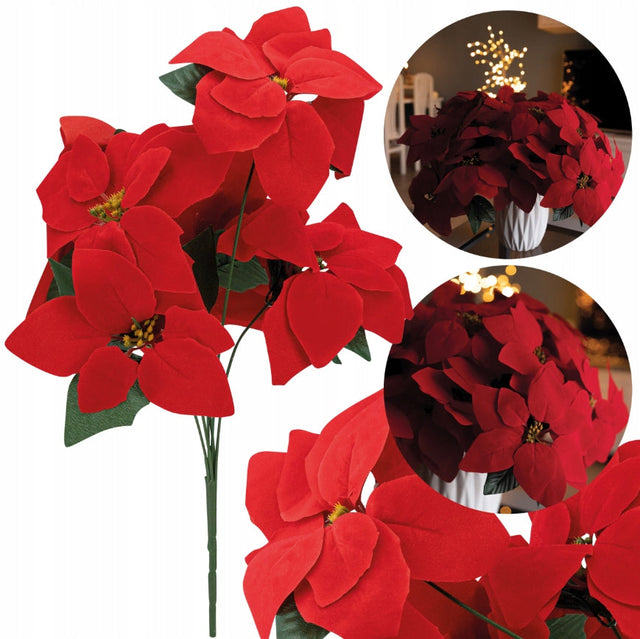 Stern von Bethlehem 45cm