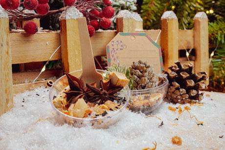 Transparente Kunststoffkugeln 5 Stk.