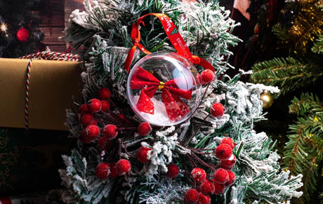 Transparente Kunststoffkugeln 5 Stk.