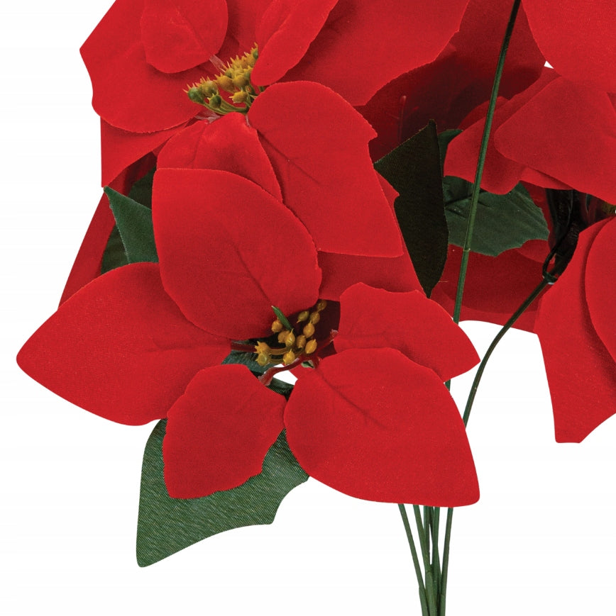 Stern von Bethlehem 45cm