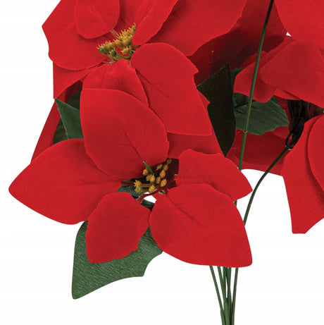 Stern von Bethlehem 45cm