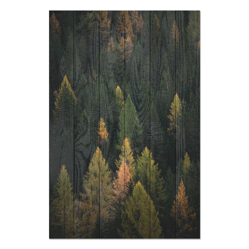 Wanddeko Holz - Coniferous Forest
