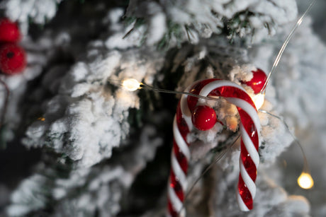 Rote Kugeln auf Draht, 10er-Set.