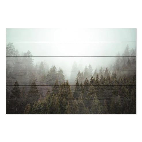 Wanddeko Holz - Misty Coniferous Forest