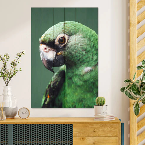 Wanddeko Holz - Parrot