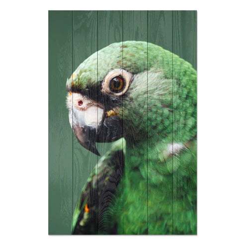 Wanddeko Holz - Parrot